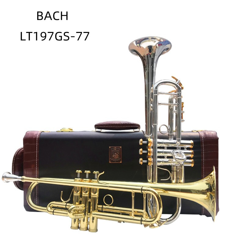 Vincent Bach LT197GS-77 Bb Sma - Musical Instrument Piccolo recensie en prijs