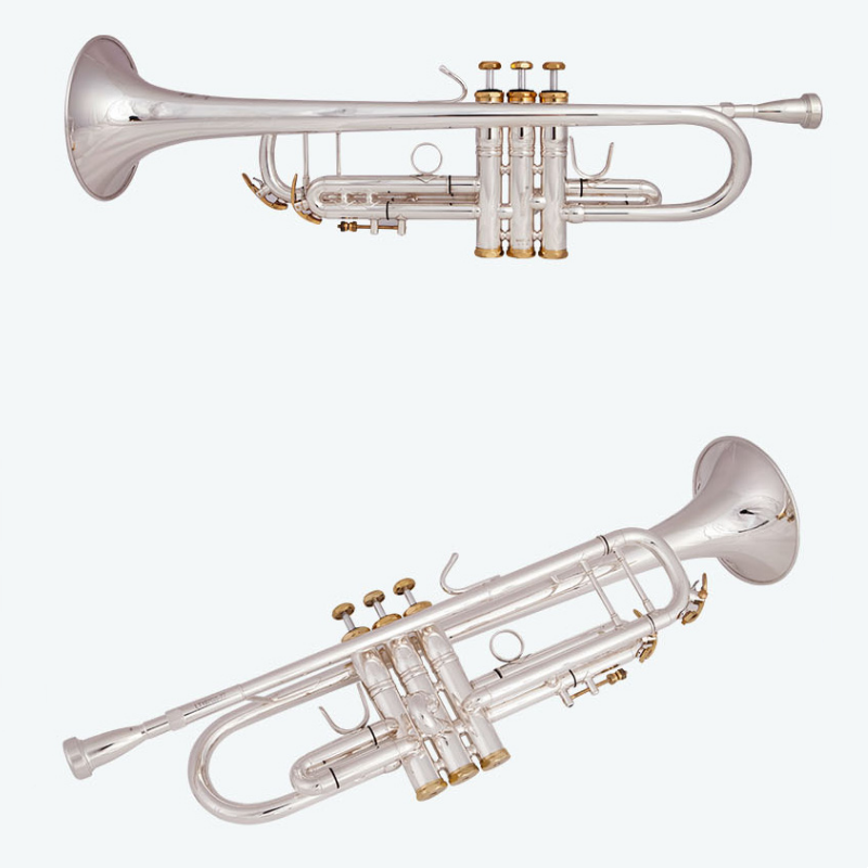 Vincent Bach LT197GS-77 Bb Sma - Musical Instrument Piccolo recensie en prijs