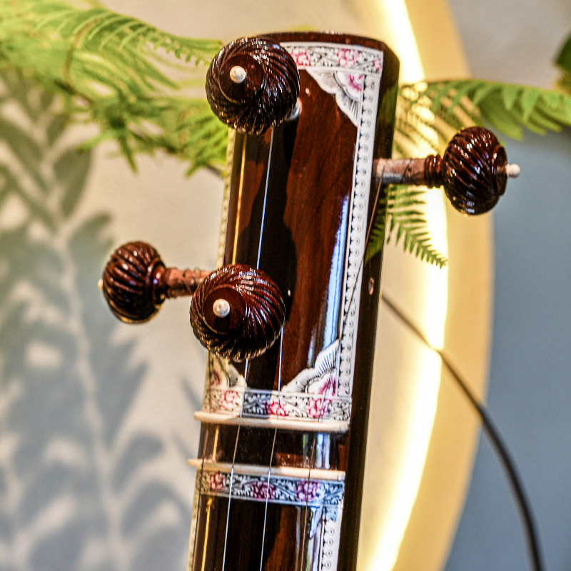 Handmade Sitar National Musica - Musical Instrument Sitar recensie en prijs