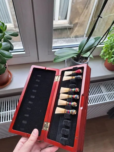 1pcs Bassoon Reed Storage Case - Musical Instrument Bazooka recensie en prijs