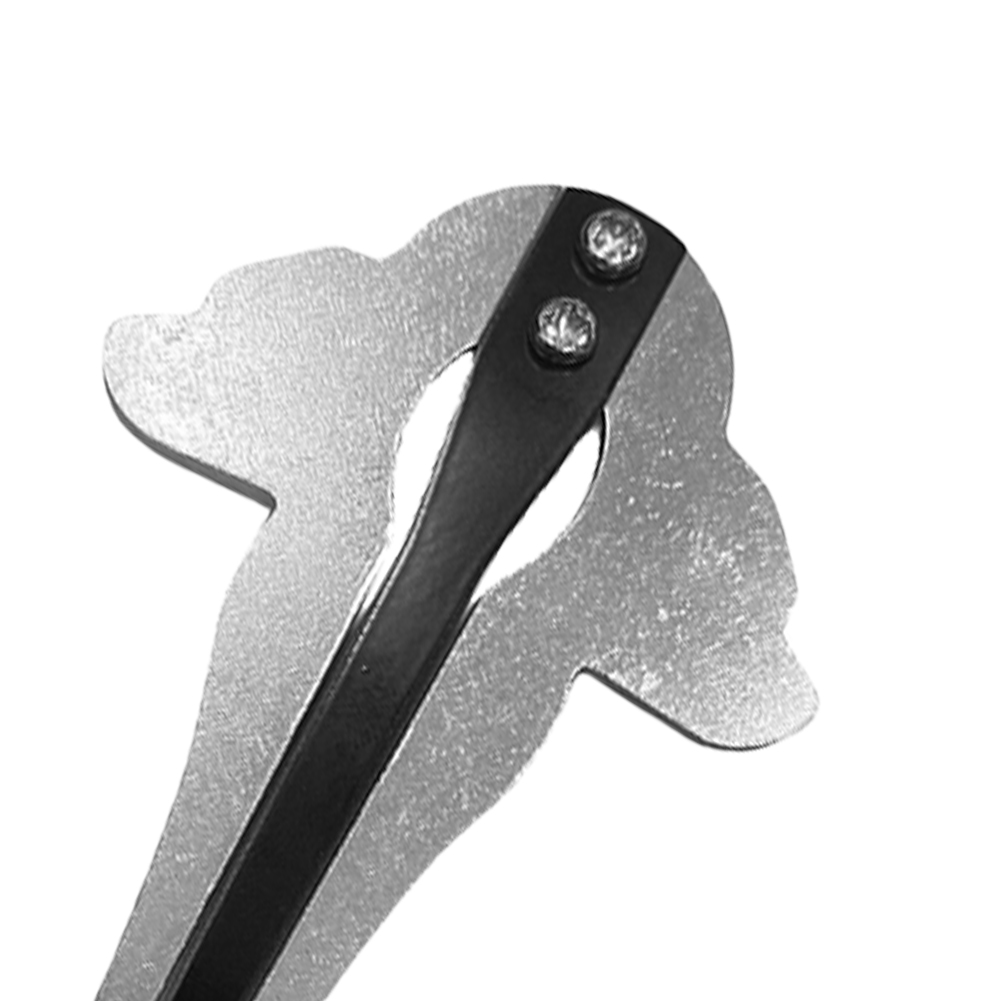 Portable Jaw Harp Chrome Russi - Musical Instrument Harp recensie en prijs