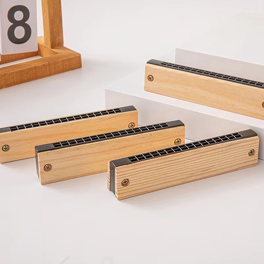 Creative DIY Little Harmonica  - Musical Instrument Melodica recensie en prijs