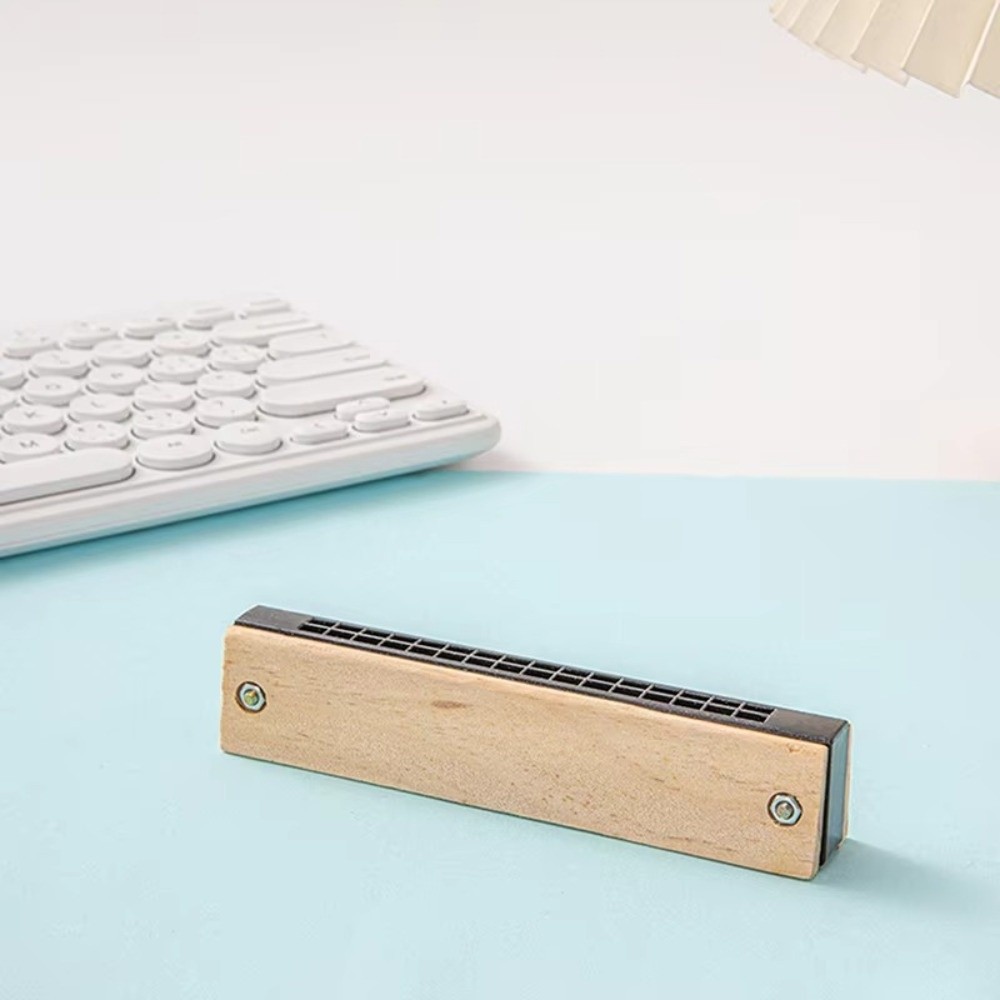 Creative DIY Little Harmonica  - Musical Instrument Melodica recensie en prijs