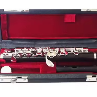 Ebony Piccolo With Silver Plat - Musical Instrument Piccolo recensie en prijs