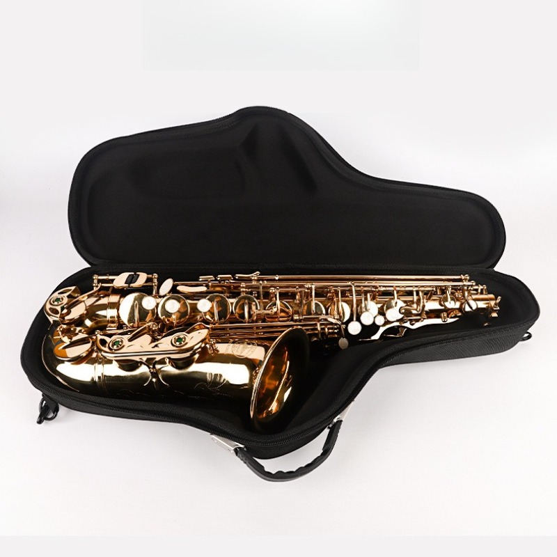 Oxford Cloth Alto Saxophone Ba - Musical Instruments recensie en prijs