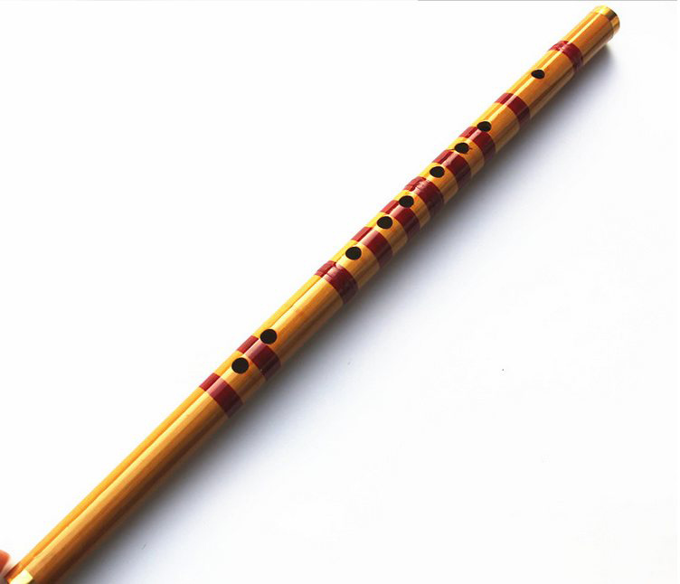 Children Learning Well Designe - Musical Instrument Piccolo recensie en prijs