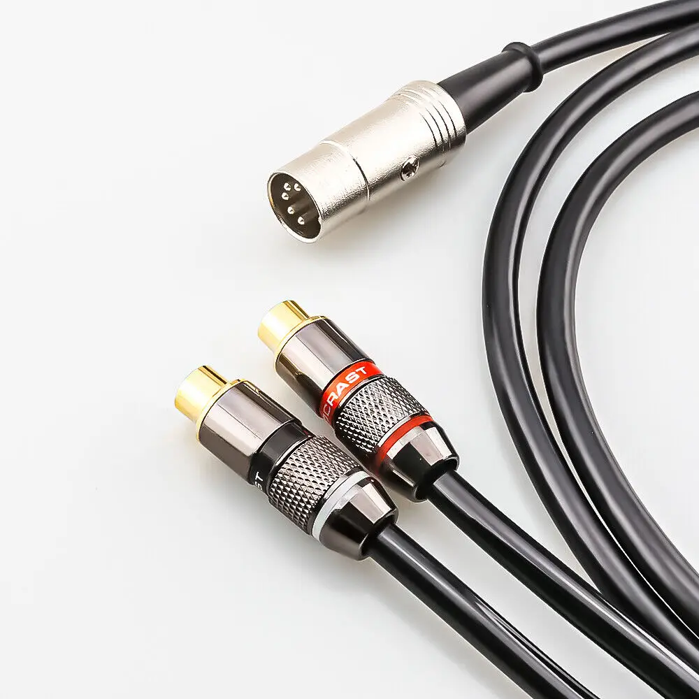 5-Pin Din Male to 2-RCA Female - Musical Instrument Image recensie en prijs