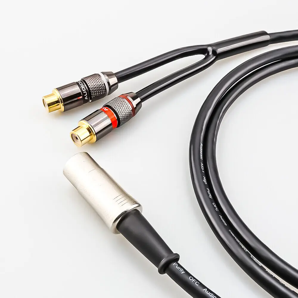 5-Pin Din Male to 2-RCA Female - Musical Instrument Image recensie en prijs