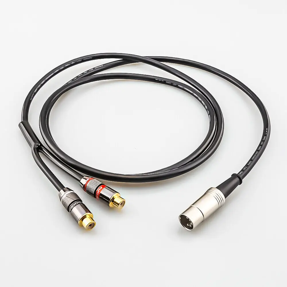 5-Pin Din Male to 2-RCA Female - Musical Instrument Image recensie en prijs