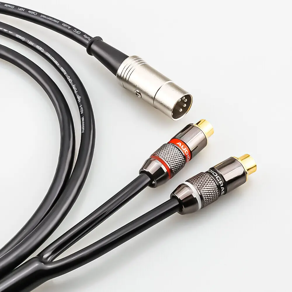 5-Pin Din Male to 2-RCA Female - Musical Instrument Image recensie en prijs