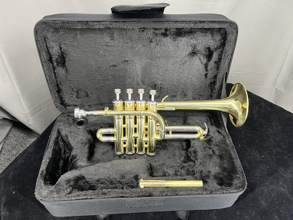 Gold Lacquer Brass Bb/A Tone P - Musical Instrument Piccolo recensie en prijs