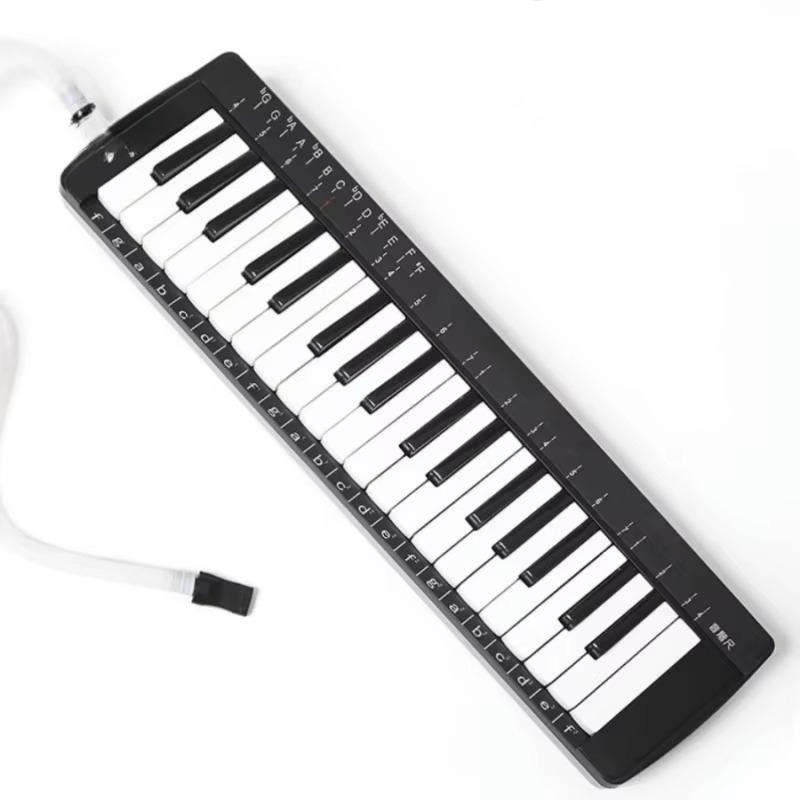 37 Key Professional Melodica S - Musical Instrument Melodica recensie en prijs