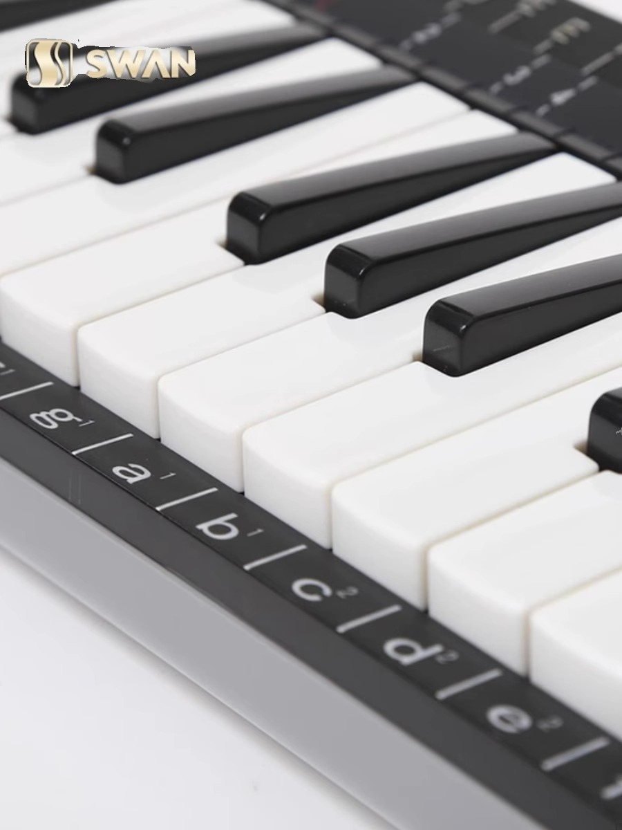37 Key Professional Melodica S - Musical Instrument Melodica recensie en prijs